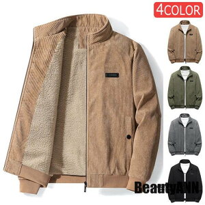 THOM WILLS V {AWPbg R[fCWPbg Y {A u] R[`WPbg ~ N {A  h AE^[ hh v[g Mtg H ~ t Ht@