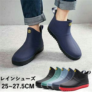 CV[Y Y C Cu[c  JWAV[Y AEghAʋ ƌC ނ  Jp h 䕗 ~J΍ ̓ v[g Mtg