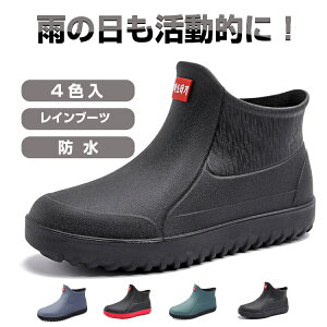 Cu[c CV[Y JC tbgV[Y J V[Y h CEFA CObY ₷ amp rWlXV[Y ~J΍ ̓ v[g