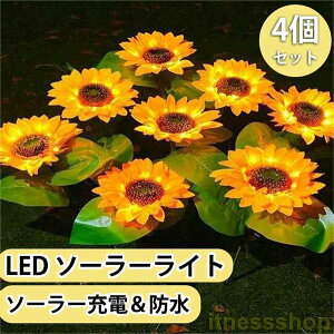 \[[Cg LED\[[Cg O OƖ h    CgAbv \[[[d