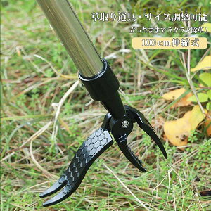  ܂  Lk 炭炭 ֗  ObY  G G XeX 背[L     J} i | _    NTJ  