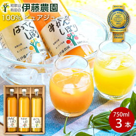 みかんジュース ギフト お歳暮 御歳暮 オレンジジュース みかん ジュース フルーツジュース 750ml 3本 和歌山 無添加 果汁100％ ストレート 誕生日 内祝い 結婚祝い 出産祝い 出産内祝い