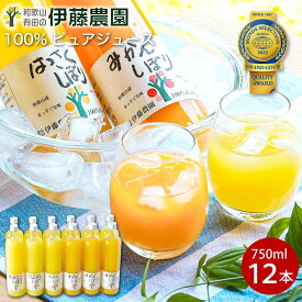 ギフト お歳暮 御歳暮 プレゼント みかんジュース ギフト お歳暮 御歳暮 オレンジジュース みかん ジュース 750ml 12本 和歌山 果汁100％ ストレート 誕生日プレゼント 内祝い 結婚祝い 出産祝い 出産内祝い