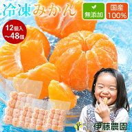 みかん 冷凍 冷凍みかん 皮なし 有田みかん 12〜48個入 無添加 和歌山産 蜜柑 むきみかん 美味しい おい…