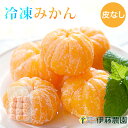 みかん 冷凍 冷凍みかん 皮なし 有田みかん 24個入 無添加 和歌山産 蜜柑 むきみかん 美味しい おいしい シャーベット ソルベ スイーツ作りの材料に