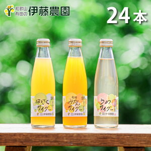 _Gg[wŃ|Cgő10{I^݂ TC_[ n 200ml 8{ ʏ`50% Y_ a̎R 蕨 lߍ킹 Mtg Ε Ε p av[g j j oY