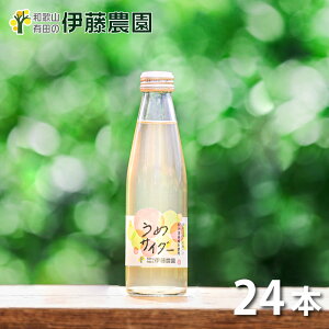 H̃Mtg hV̓ ݂ TC_[ n 200ml 8{ ʏ`50% Y_ a̎R 蕨 lߍ킹 Mtg p av[g j j oYj oYj mَq c