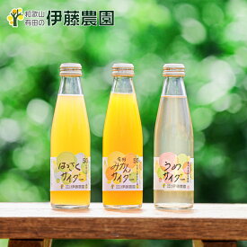 みかん サイダー ご当地 200ml 8本 果汁50% 炭酸 和歌山 贈り物 詰め合わせ ギフト お歳暮 御歳暮 贈答用 誕生日プレゼント 内祝い 結婚祝い 出産祝い 出産内祝い 洋菓子