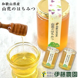 はちみつ 和歌山 国産 450g 2個 純粋蜂蜜 蜂蜜 ハチミツ 山花 無添加 プチ プレゼント ギフト 贈答用 誕生日プレゼント 内祝い 結婚祝い 出産祝い 出産内祝い 母の日 洋菓子 手土産