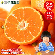【エントリーでP10倍◆9/19(土)20:00〜9/24(木)1:59】2年連続楽天グルメ大賞受賞！みかん 訳あり 小玉み…