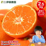 【今だけ特別価格！1,680円→1,580円】みかん 訳あり 2.5kg 2箱 5kg 10kg 中生 晩生 有田みかん 蜜柑 ミ…