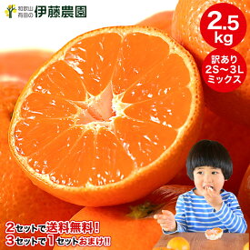 【今だけ特別価格！1,680円→1,580円】みかん 訳あり 2.5kg 2箱 5kg 10kg 中生 晩生 有田みかん 蜜柑 ミカン フルーツ 果物 伊藤農園 和歌山 手詰め 傷あり 2箱購入で送料無料 3箱購入でおまけ増量！【やまきずくん】