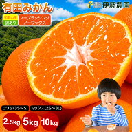 【エントリーでP10倍◆9/19(土)20:00〜9/24(木)1:59】みかん 訳あり 2.5kg 5kg 10kg 極早生 早生 中生 晩…