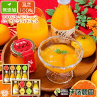 【食いしんぼう祭300円OFFクーポン対象】敬老の日 ギフト みかんジュース ゼリー 詰め合わせ 送料無料 無…