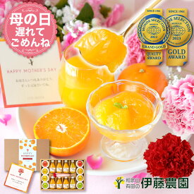 母の日 遅れてごめんね ギフト みかんジュース ゼリー 無添加 詰め合わせ 送料無料｜和歌山 伊藤農園 カーネーション付 大容量 16点 人気スイーツ【m-045f】