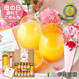 母の日 遅れてごめんね 当日配送 ギフト みかんジュース 無添加 ストレート オレンジジュース 送料無料｜和歌山 伊藤農園 カーネーション付 人気ドリンクギフト 大容量 手土産【m-064f】