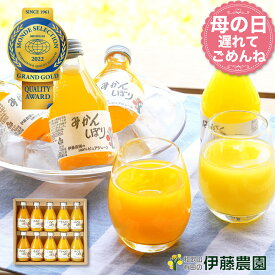 母の日 遅れてごめんね　ジュース みかんジュース ギフト オレンジジュース みかん ジュース フルーツジュース 180ml 10本 和歌山 果汁100％ ストレート 誕生日プレゼント 内祝い 結婚祝い 出産祝い 出産内祝い