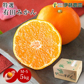 ＼今なら3,000円以上購入でクーポン最大300円OFF！／ギフト お歳暮 御歳暮 みかん 2.5kg 5kg 10kg 贈答用 秀品 特選 送料無料 和歌山 S M 小粒 中粒 手詰め 有田みかん 温州みかん 約40個〜60個入ります ご当地 お出産内祝い 贈答
