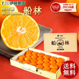 みかん 超特選 有田みかん 送料無料 小玉 高級 糖度12度以上 光センサー選果 船林 ふなりん S M 24個 和歌山 手詰め ご当地 お贈答 結婚 内祝い ギフト お歳暮 御歳暮