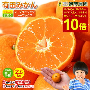 ＼エントリーでポイント10倍！10/14(水)20：00〜10/17(土)01：59／2年連続楽天グルメ大賞受賞！みかん