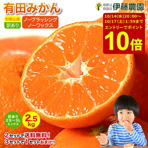 ＼エントリーでポイント10倍！10/14(水)20：00〜10/17(土)01：59／みかん 訳あり 2.5kg 2箱 