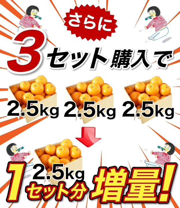 楽天市場】みかん 訳あり 2.5kg 2箱 5kg 10kg 中生 晩生 有田みかん