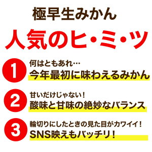 特選有田みかん