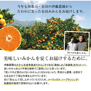 ノーワックス・ノーブラッシング