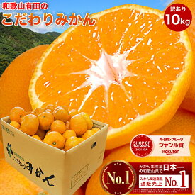 楽天市場 みかん 10kgの通販 楽天市場 みかん 10kgの通販