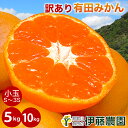 ＼今なら3,000円以上購入でクーポン最大300円OFF！／みかん 訳あり 5kg 10kg 早生 中生 晩生 小粒 小玉 送料無料 S 2S 3S 有田みかん 蜜柑 ミカン フルーツ 果物 和歌山