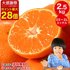 �y�|�C���g�ő�28�{���v�G���g���[�z�N������ �����p �_2���w���ő������� 3���w���ł��܂����ʁI�^�݂��� �󂠂� 2.5kg 2�� 5kg 10kg ���� �Ӑ� �L�c�݂��� ���� �~�J�� �t���[�c �ʕ� �ɓ��_�� 