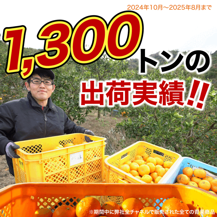 うのちゃんハウスみかん大玉約5Kg×3箱【訳あり】 楽天市場】【ポイント10倍！10/2(木)9:59まで】＼2箱購入で送料