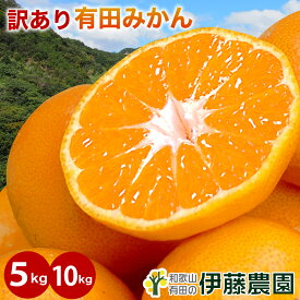 ＼今なら3,000円以上購入でクーポン最大300円OFF！／みかん 訳あり 5kg 10kg 極早生 早生 中生 晩生 みかん 送料無料 S M L 2L 3Lミックス 不ぞろい 有田みかん 蜜柑 ミカン フルーツ 果物 和歌山
