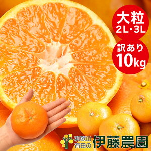 _N[|pōő300~OFFI^݂ 󂠂 5kg ݂ 嗱  ӂ낢 2L 3L 4L ɑ   Ӑ Lc݂  ~J t[c ʕ ɓ_ a̎R l 