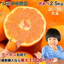 ＼クーポン利用で複数購入最大1,500円引き※条件あり／みかん 訳あり 2.5kg みかん 2L 3L 大玉 大粒 早生 中生 晩生 有田みかん 蜜柑 ミカン フルーツ 果物 伊藤農園 和歌山 手詰め