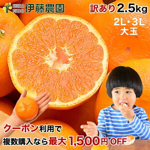 _N[|pŕwő1,500~^݂ 󂠂 2.5kg ݂ 2L 3L  嗱   Ӑ Lc݂  ~J t[c ʕ ɓ_ a̎R l