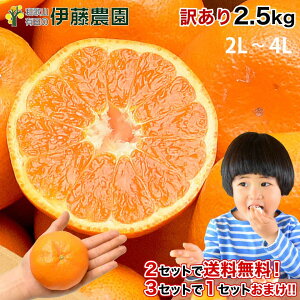 _N[|pōő300~OFFI^y2wő 32.5kgʁzp ݂ 󂠂 2.5kg ݂ 嗱 2L 3L 4L  Ӑ Lc݂  ~J t[c ʕ ɓ_ a