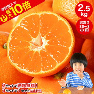 _11/20()20:00`Gg[wPő10{I^_2wő 3wł܂ʁI^2NAyVO܎܁I݂ 󂠂    Ӑ  2.5kg Lc݂ 