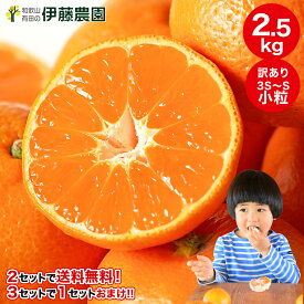 ＼今なら3,000円以上購入でクーポン最大300円OFF！／＼2箱購入で送料無料 3箱購入でおまけ増量！／2年連続楽天グルメ大賞受賞！みかん 訳あり 小玉 早生 中生 晩生 蜜柑 2.5kg 有田みかん 小粒 蜜柑 ミカン フルーツ 果物 和歌山 手詰め 5kg 10kg
