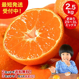 ＼2箱購入で送料無料 3箱購入でおまけ増量！／みかん 訳あり 2.5kg 2箱 5kg 10kg 中生 晩生 有田みかん 蜜柑 ミカン フルーツ 果物 伊藤農園 和歌山 手詰め 傷あり