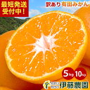 【楽天スーパーSALE★ランク別P最大10倍】みかん 訳あり 5kg 10kg 極早生 早生 中生 晩生 みかん 送料無料 S M L 2L 3…