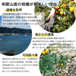 おいしい理由