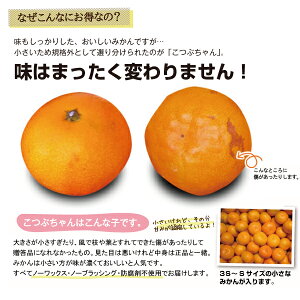 訳あり説明
