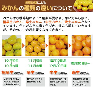 ご注意