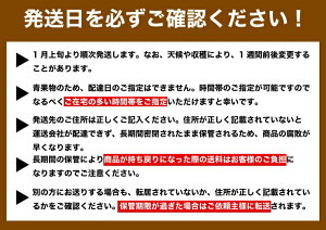 お年賀みかん訳あり小玉自宅用2kg伊藤農園2箱購入送料無料3箱買って1箱おまけ和歌山国産防腐剤不使用お歳暮正月用