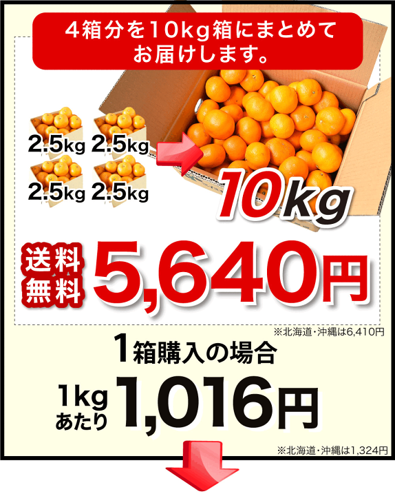 楽天市場】＼エントリーでポイント10倍／＼2箱購入で送料無料 3