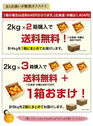 2箱送料無料