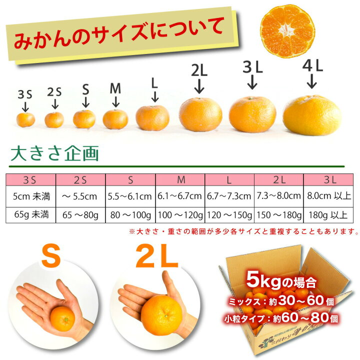 楽天市場 10月下旬以降に発送予定 みかん 訳あり 小玉 極早生 早生 中生 晩生 蜜柑 2kg 2箱買うと送料無料 3箱買うと1箱増量 有田みかん 小粒みかん 蜜柑 ミカン フルーツ 果物 伊藤農園 和歌山 特別栽培 減農薬 手詰め 秋 冬 お歳暮 歳暮 伊藤農園 ジュースと果実