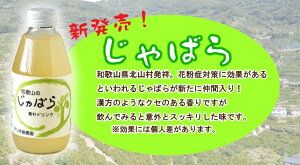 伊藤農園素朴ドリンク8本入レモネードレモンゆずだいだいじゃばらみかん・国産(和歌山産柑橘)・無添加【内祝い・お返し・ギフト・贈り物・詰め合わせ・お中元・お歳暮】