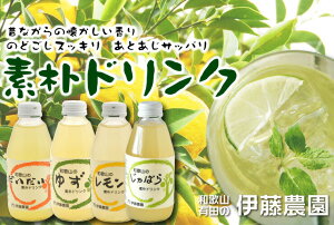 素朴ドリンク8本入りセット